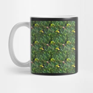 jungle life, toekan birds Mug